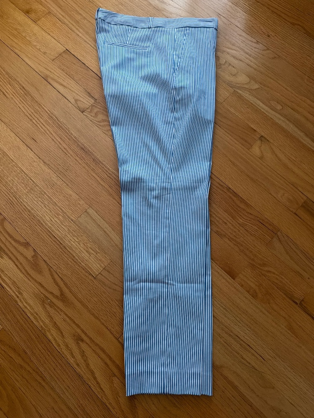 NWOT.. light Blue striped slacks size 10